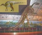 Η Zhuchengosaurus είναι μία από το μεγαλύτερο γνωστό hadrosaurids